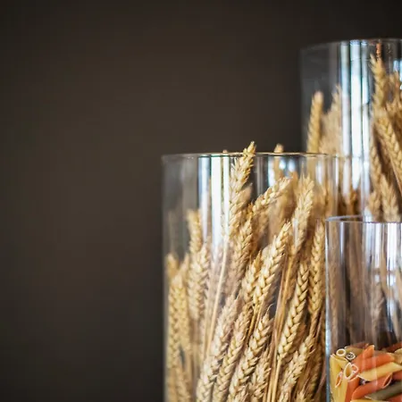 Evia & Ξενοδοχείο